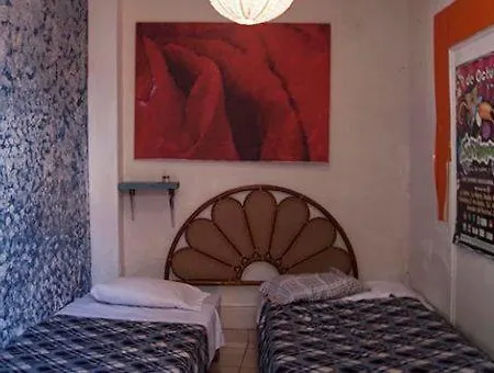 Blue House Backpackers Hostel-3